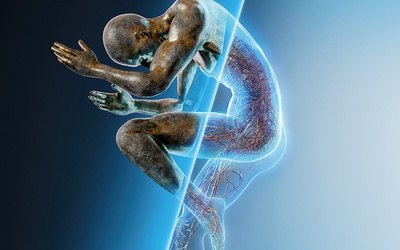Les chercheurs en radiologie sont invités à postuler pour l'EFRS Research Hub pour l'ECR 2027