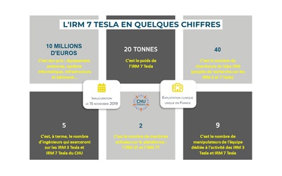 N°364 - L'IRM 7T...