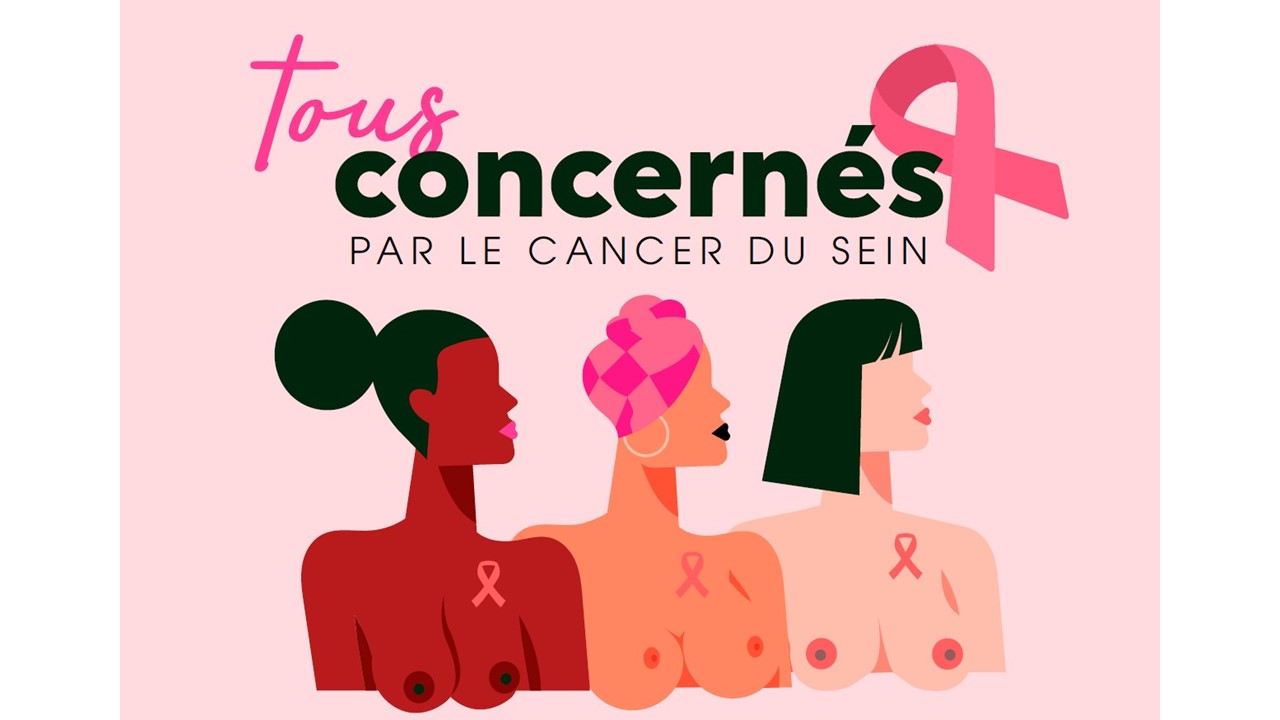 N°349 - Mise au point... Dépistage du cancer du sein