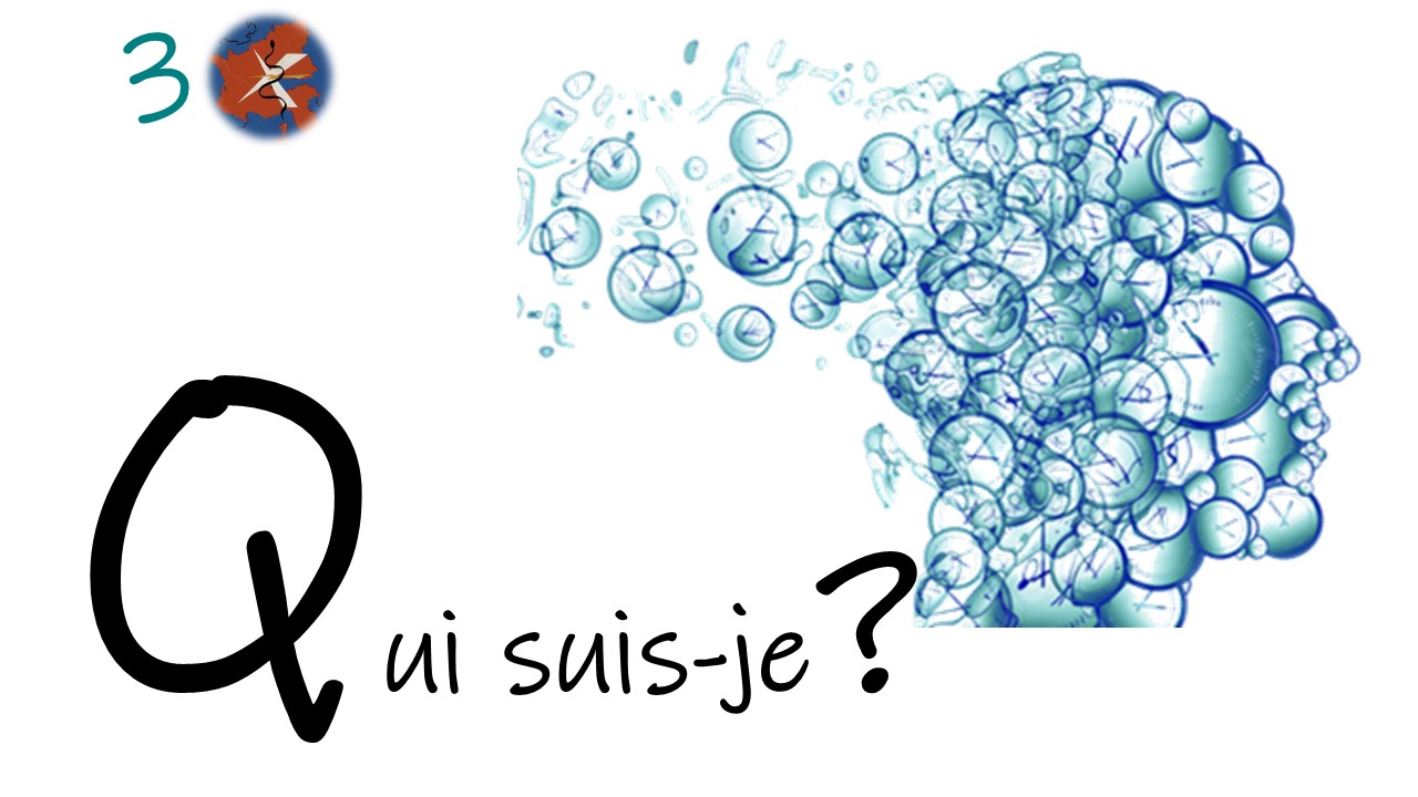 QUESTIONS pour un manip... n°3
