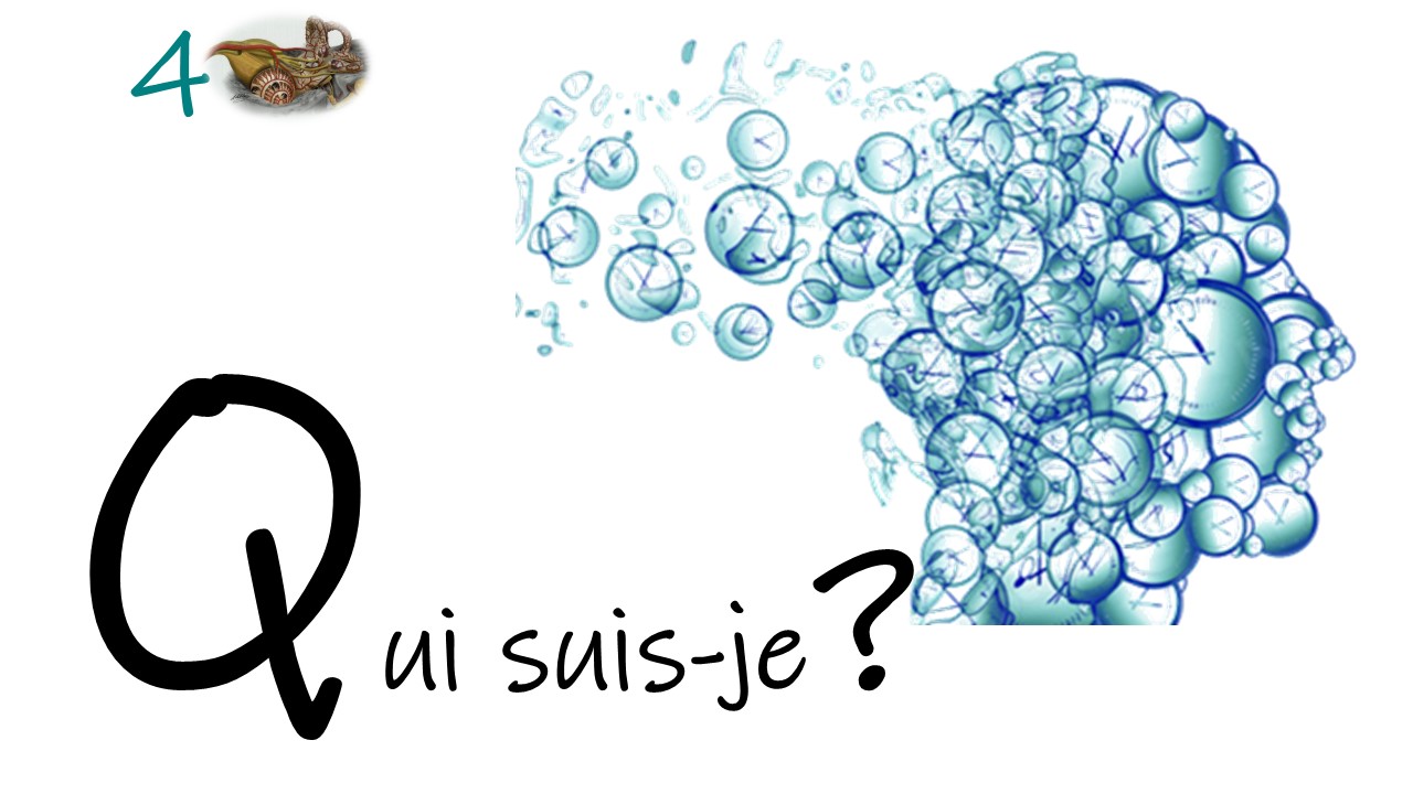 QUESTIONS pour un manip... n°4
