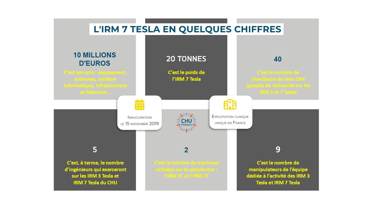 N°364 - L'IRM 7T...