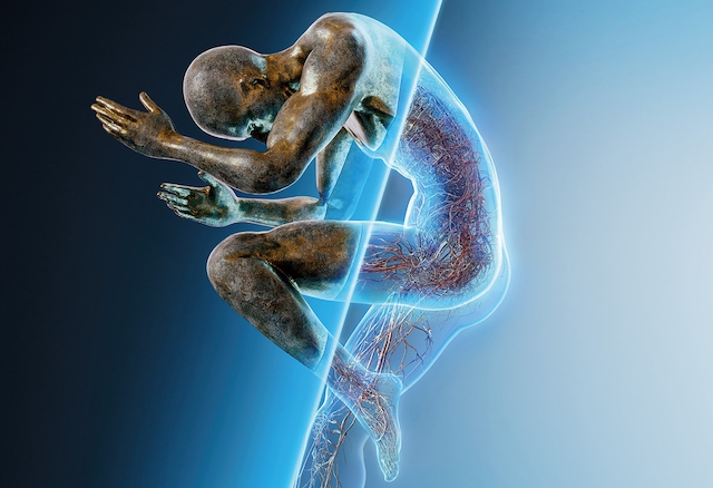 Les chercheurs en radiologie sont invités à postuler pour l'EFRS Research Hub pour l'ECR 2027
